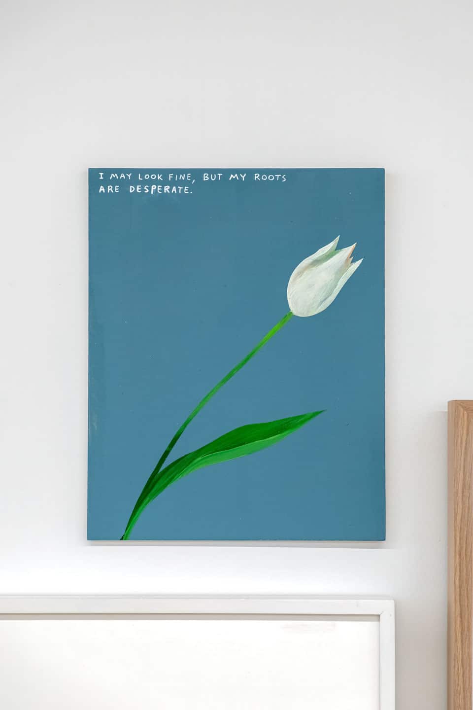 Giving Entry at NAMARA projects